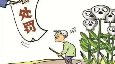 种植多少颗大烟是违法?
