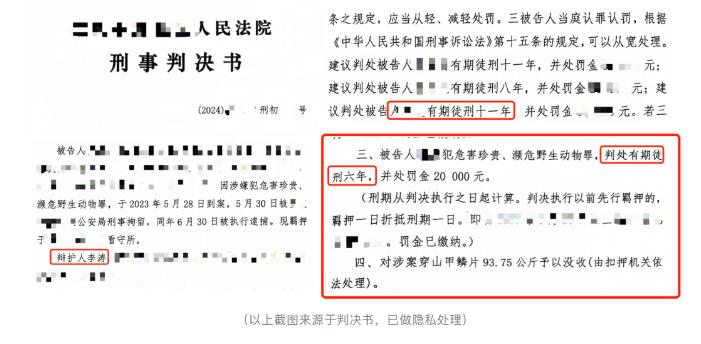 收购价值几千万元穿山甲鳞片，检察院量刑建议11年，法院采纳辩护意见轻判6年