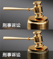 刑事诉讼